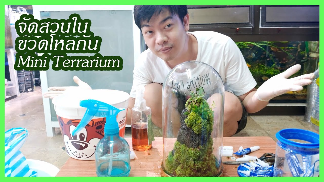 โลกใบเล็ก มาจัดสวนในขวดโหลกันครับ จัดกันแบบกาวๆด้วย