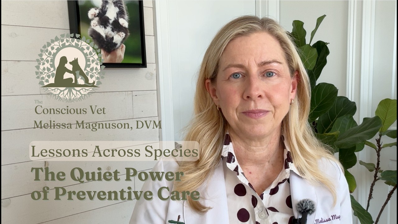 Lessons Across Species: The Quiet Power of Preventive Care