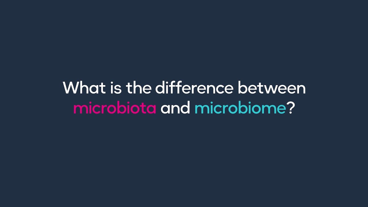 What is the difference between microbiota and microbiome?
