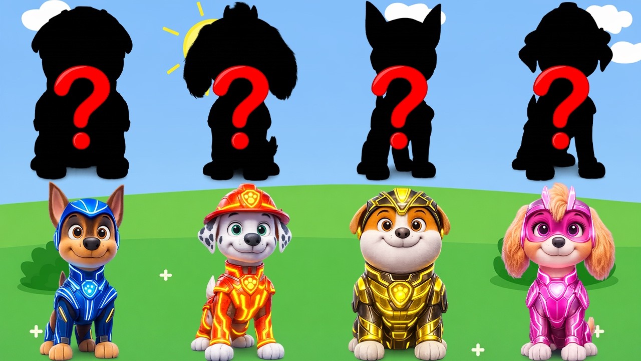 Paw Patrol and Friends Learn Kids Useful Stories for Kids Cartoon Paw Patrol (Limited Series) PART 3