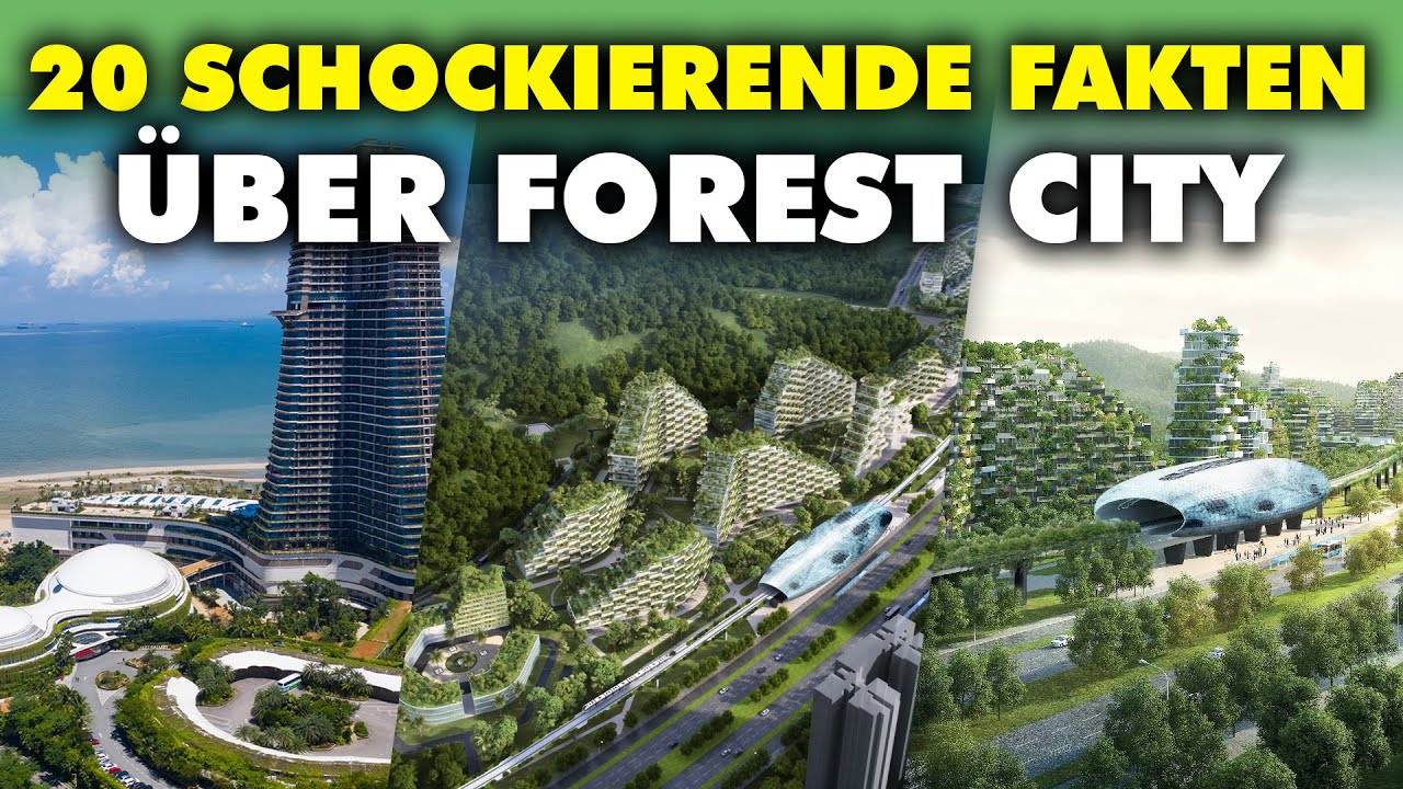 Krokodile statt Menschen: Was ist in Forest City schiefgelaufen?