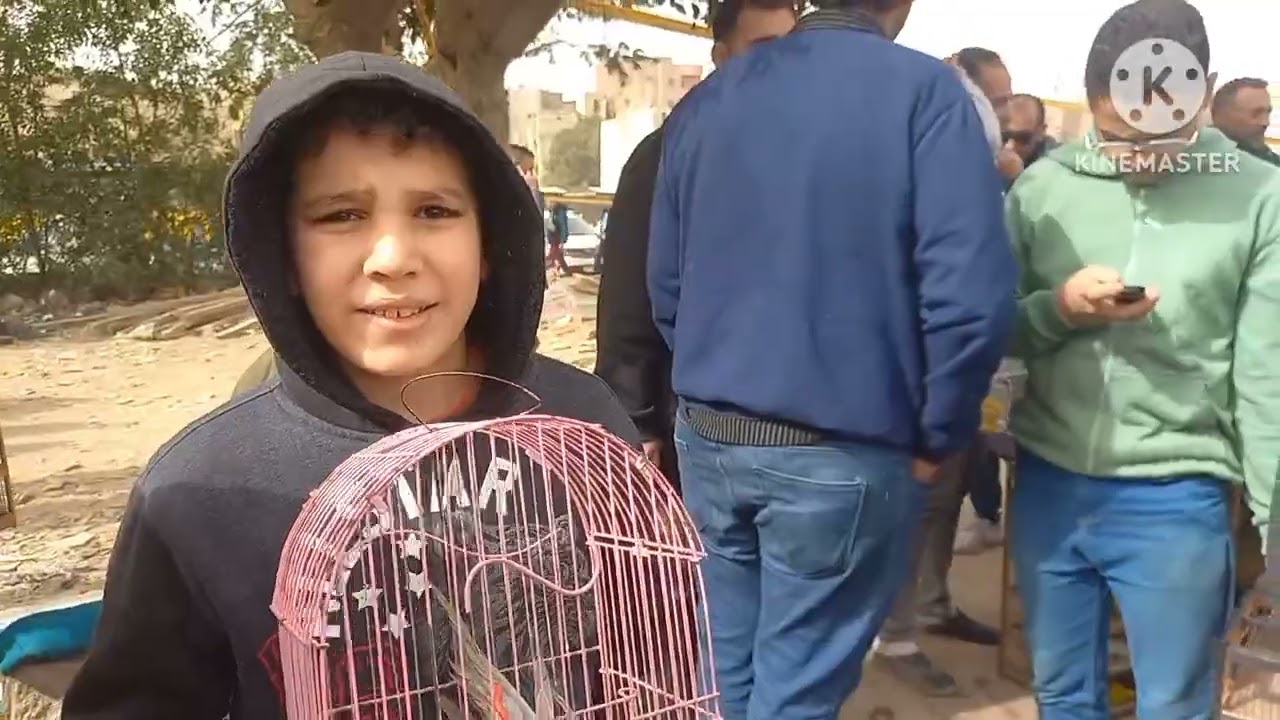 اخر فيديو من سوق الجمعة💚الناس اشترت عصافير ايه وبكام⁉️وأسعار العصافير بأرقام اصحابها من داخل السوق❤️