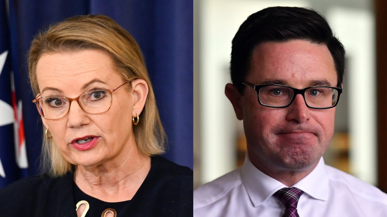 ‘Every man and woman for themselves’: Coalition split over Albanese's hate crimes bill