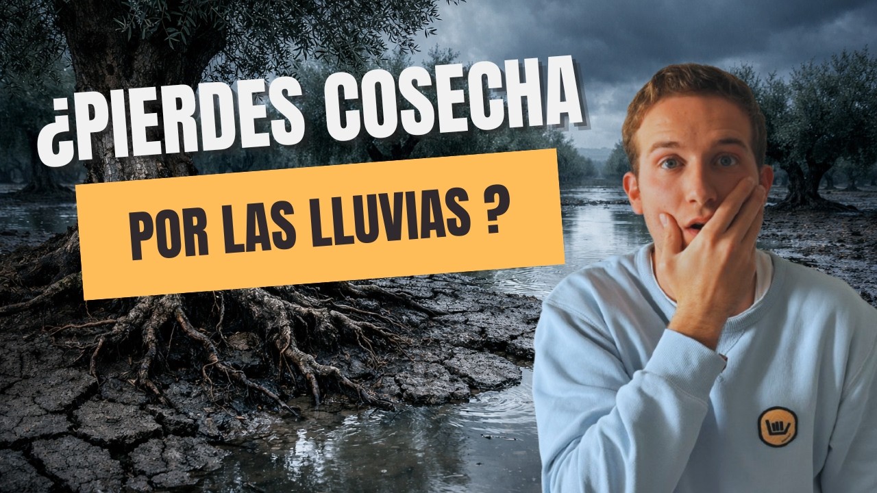 Tu Olivar se está AHOGANDO (y NO es por falta de Abono)