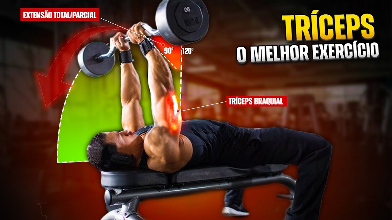 O MELHOR EXERCÍCIO PARA SEU TREINO DE TRÍCEPS (+ BÔNUS DE TREINO)