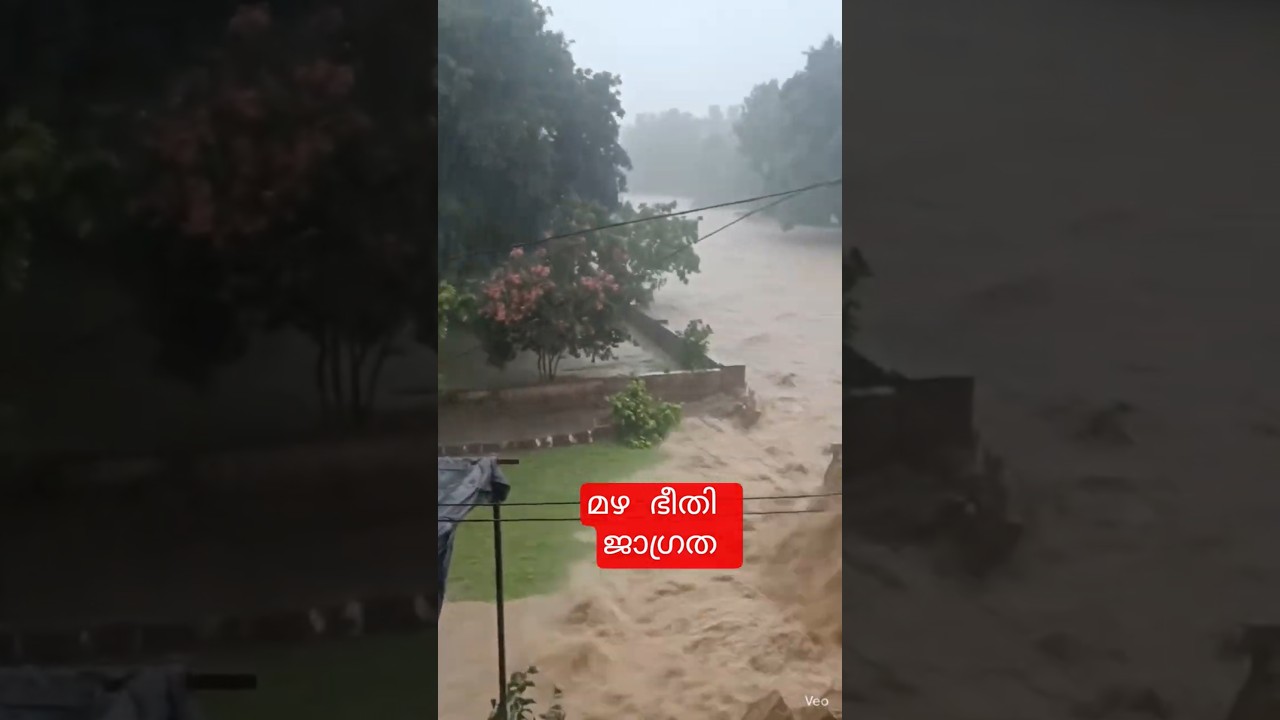 Rain alert #rain