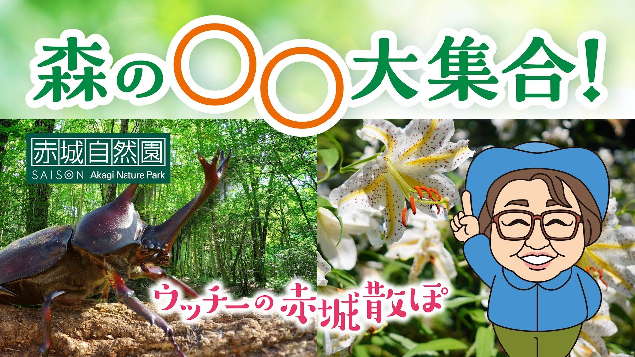 ウッチーの赤城散ぽ2025#5 ～森の〇〇大集合！～