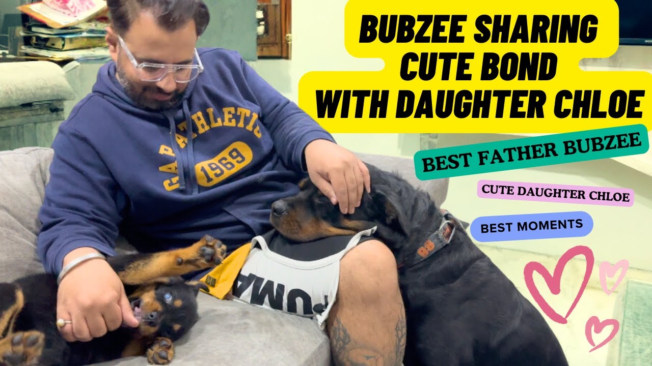Rottweiler Bubzee Is Sharing Cute Bond With Her Daughter Chloe: Chloe & Bubzee Ghar Mein Saath Hain