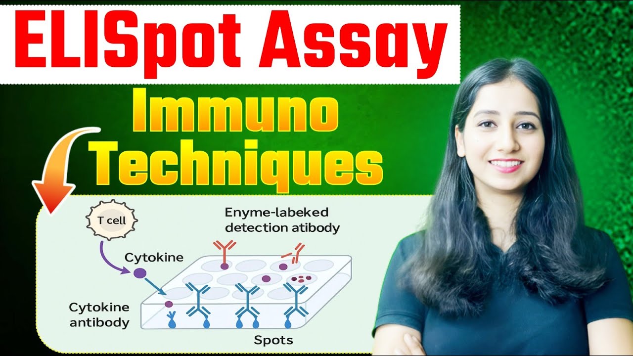 ELISpot Assay I Immunotechnique I Immunology I Bansal Biology