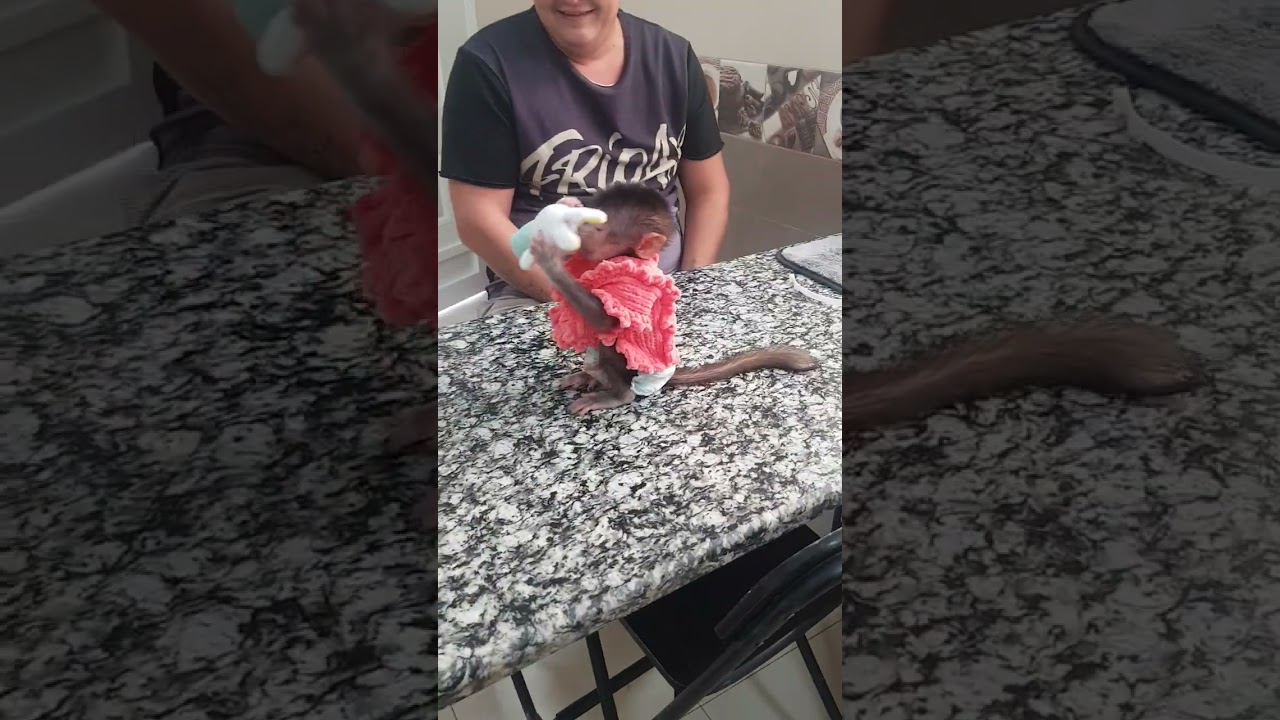 Ники 2 месяца, ругает мальчиков , всех строит )))