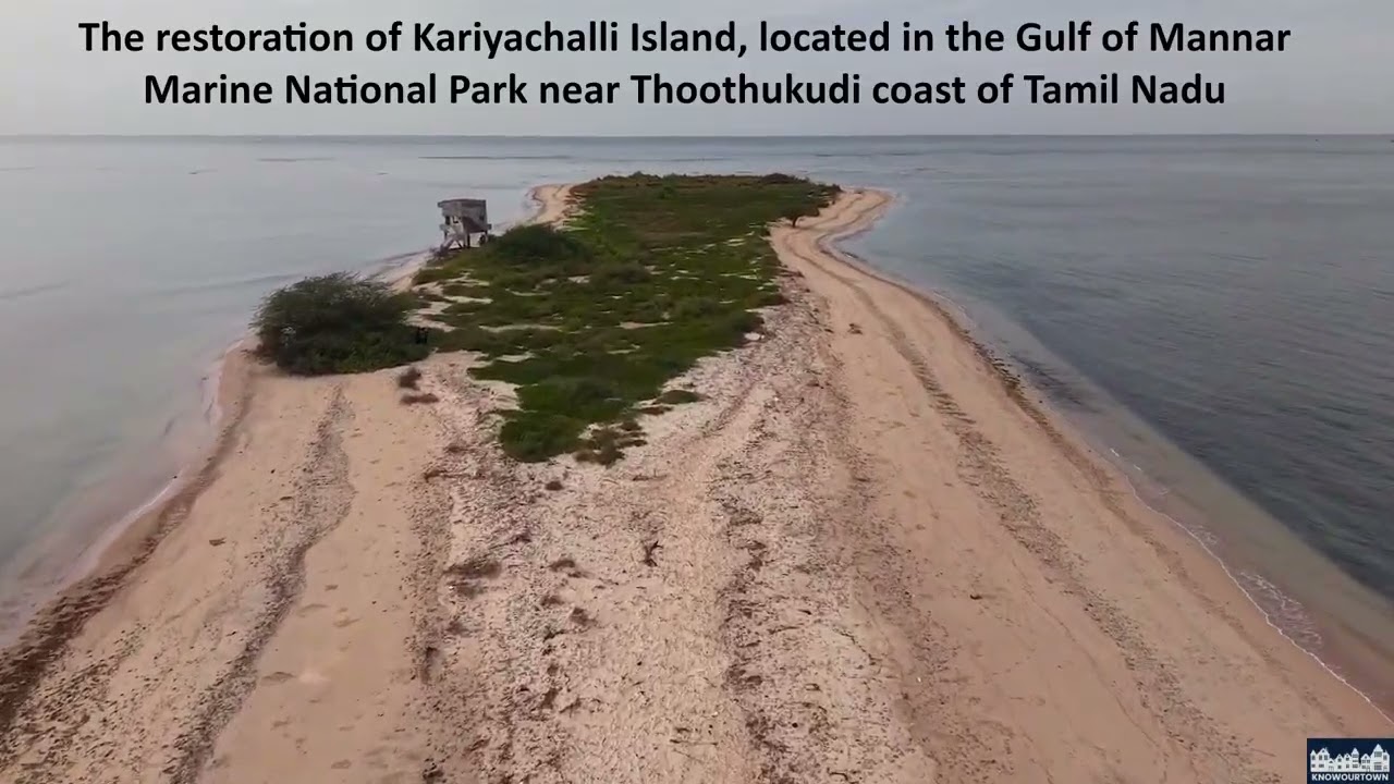 Restoration of Kariyachalli Island, located in the Gulf of Mannar Marine National Park, Tamil Nadu