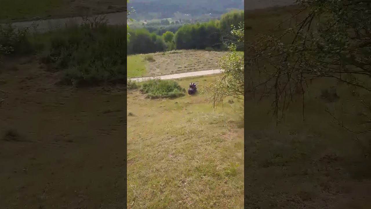 Forjă, linhai 400 dragon fly!? 🔝