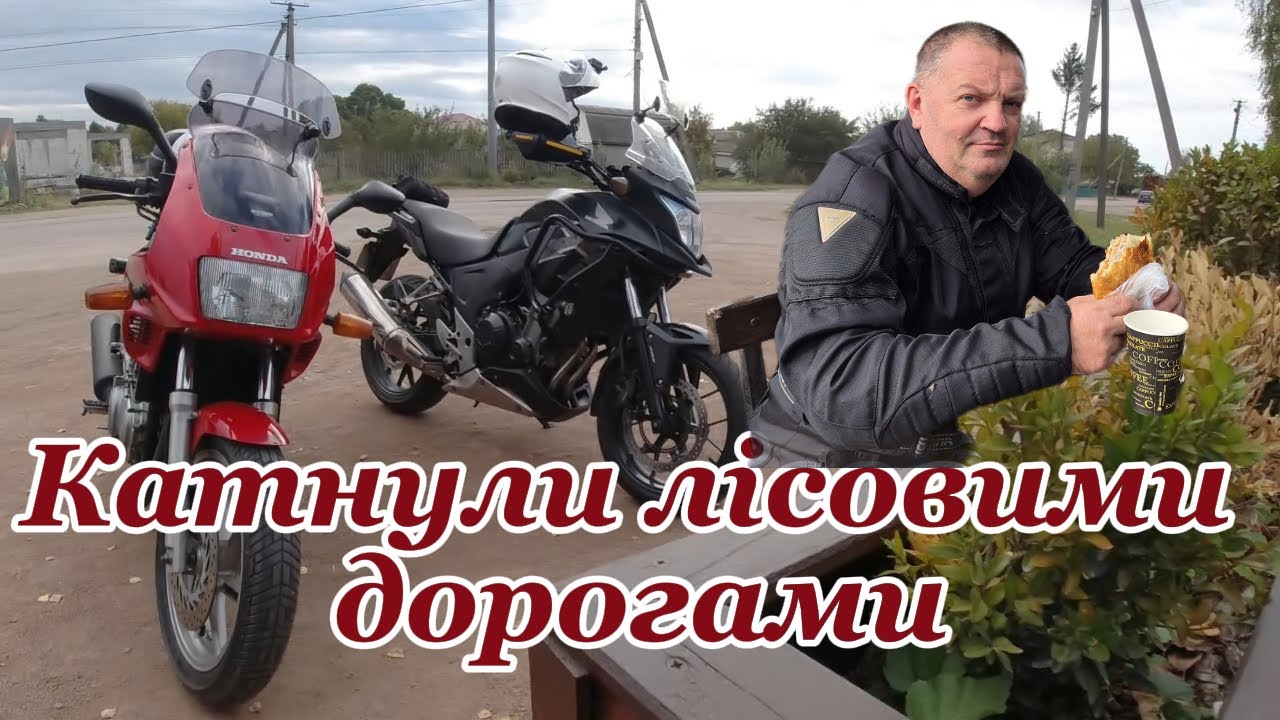 Катнули лісовими дорогами