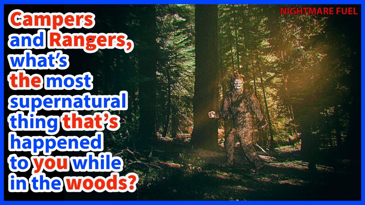 Campers and  Rangers, what's the most unsettling thing that's happened to you while in the woods?