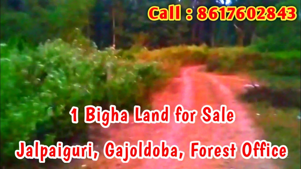 1 Bigha Land for Sale  in Jalpaiguri, Gajoldoba | TeaGarden Resort House Flat Buy & Sale in Siliguri