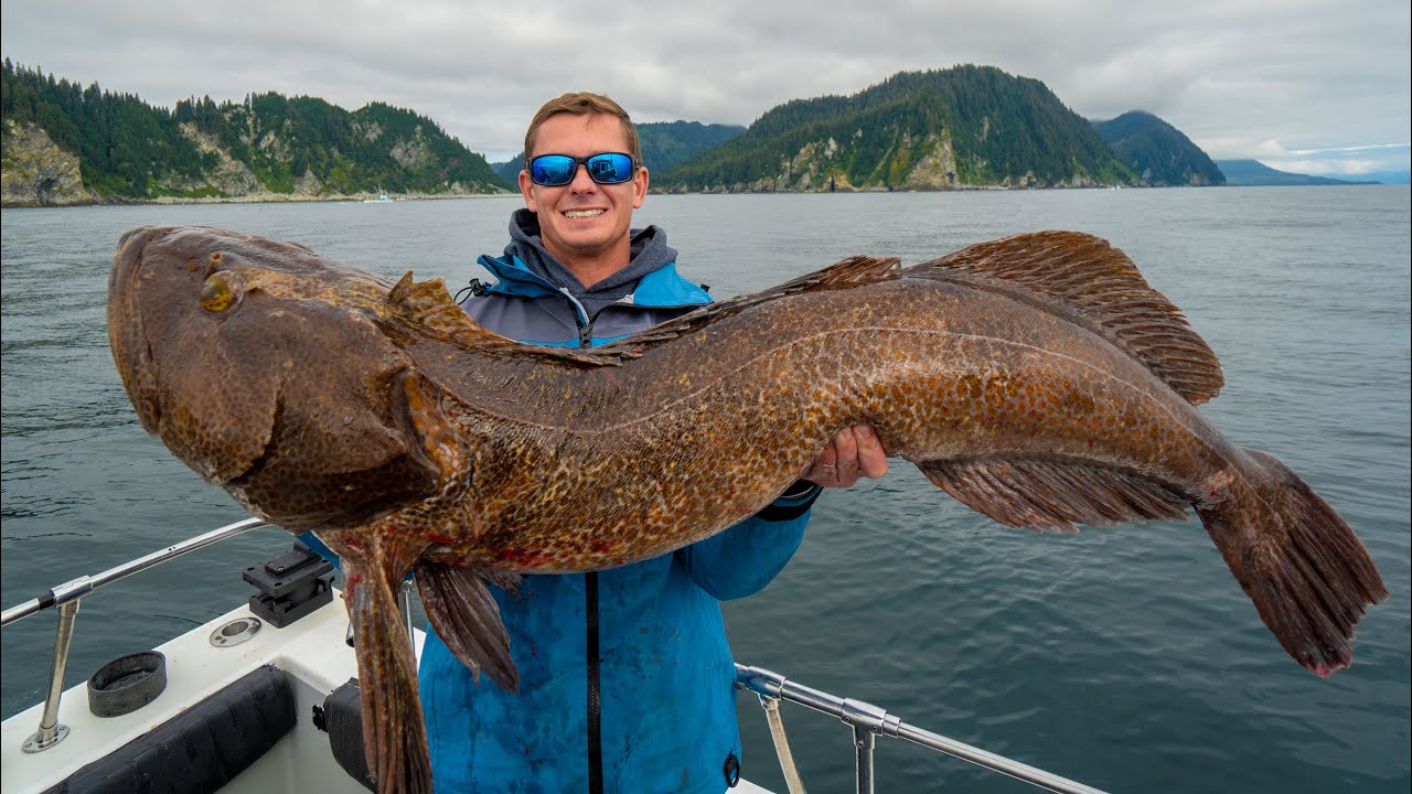 GIANT Alaskan SEA DRAGON! Catch Clean Cook (Ling Cod)