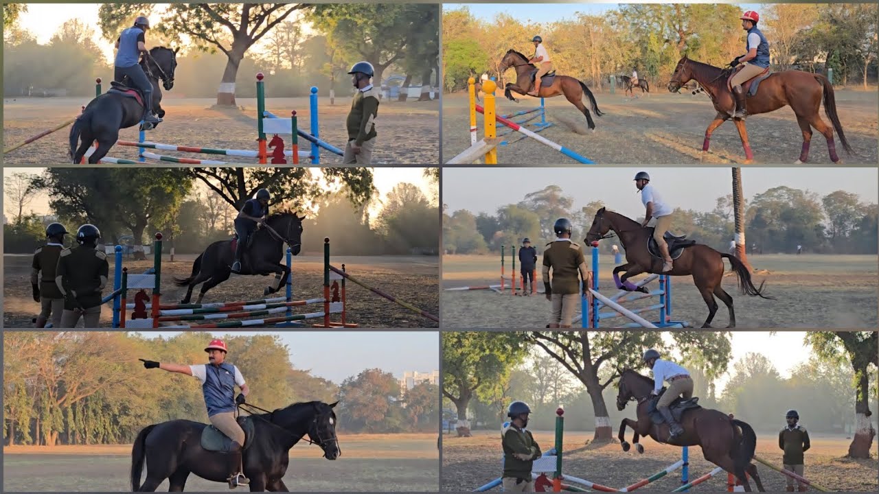 Jumping Training Session At R.d.Zala Police Horse Riding Club Rajkot ,  Gujarat ! 