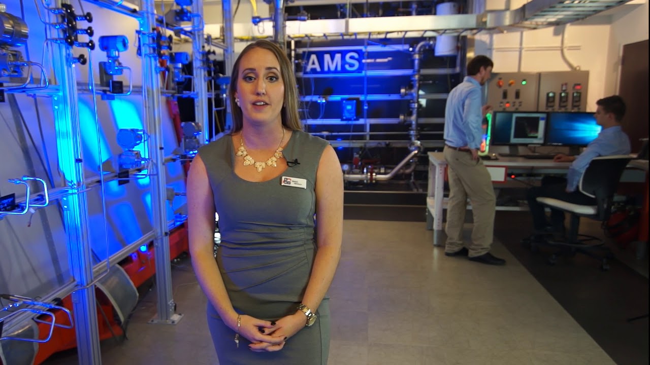 AMS Work of I&C for SMRs and Advanced Reactors