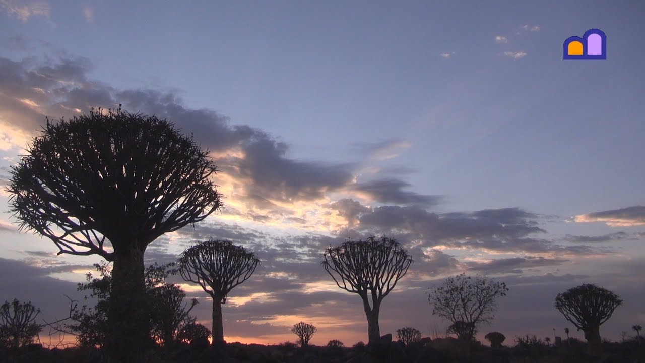 Namibia - Keetmanshoop - Quiver Tree Forest
