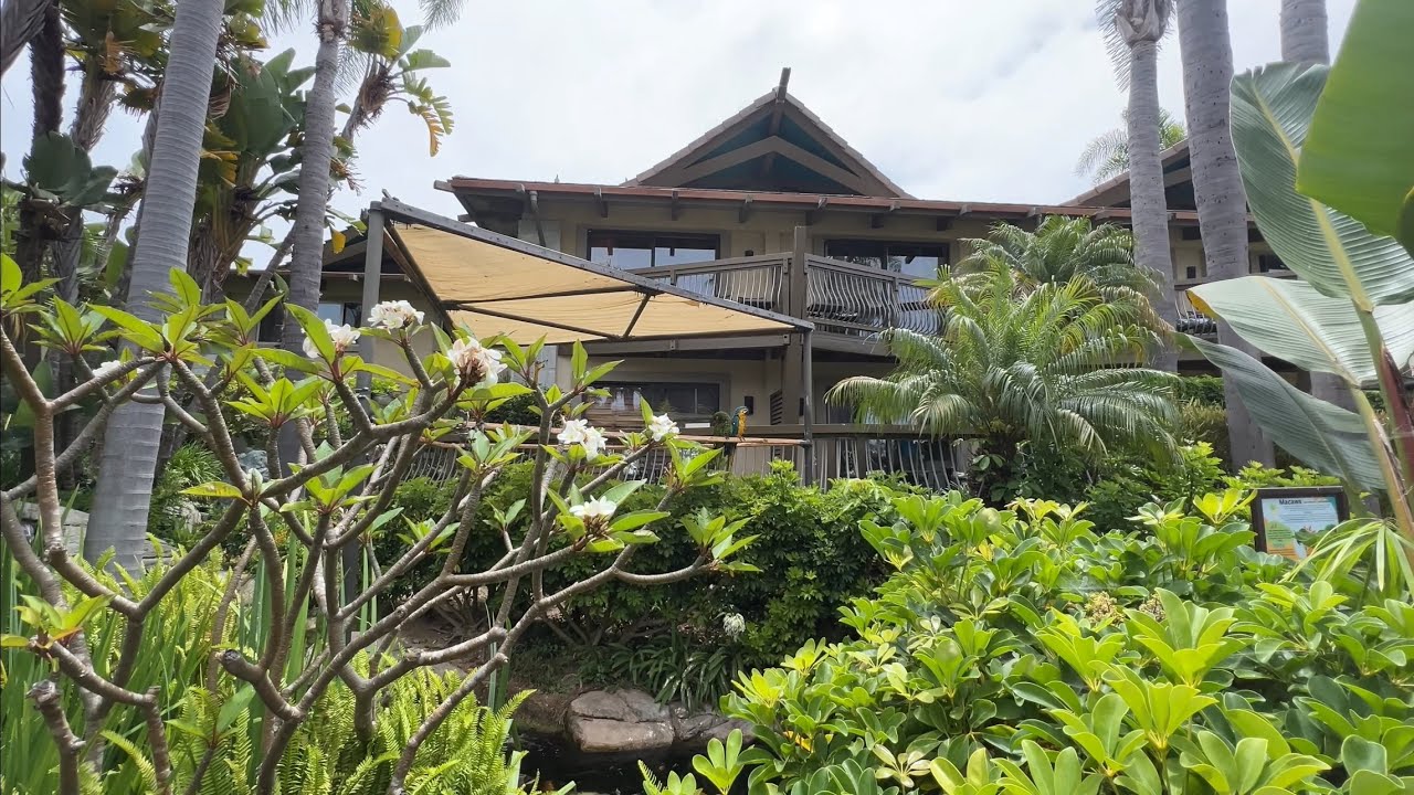 HUMPHREY’S HALF MOON INN IS A TROPICAL PARADISE | SAN DIEGO | BALI HAI | FLASE IDOL