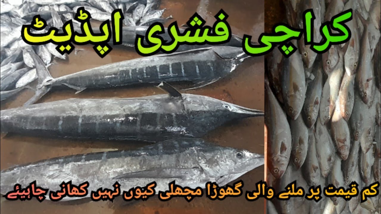 Karachi Fishrey || Sword Fish || Sole Fish || Greater Amberjack || Rates Updates.