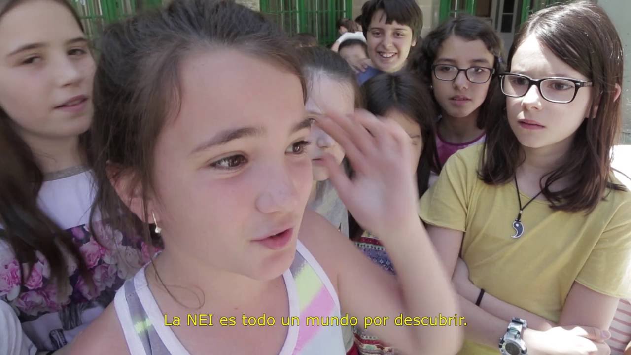 El alumno NEI