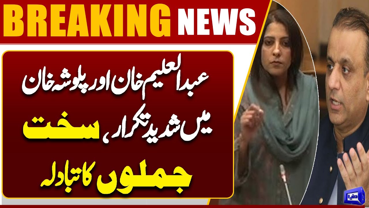 Clash Between Abdul Aleem Khan and Palwasha Khan in Senate Committee | Harsh Exchange | Dunya News
