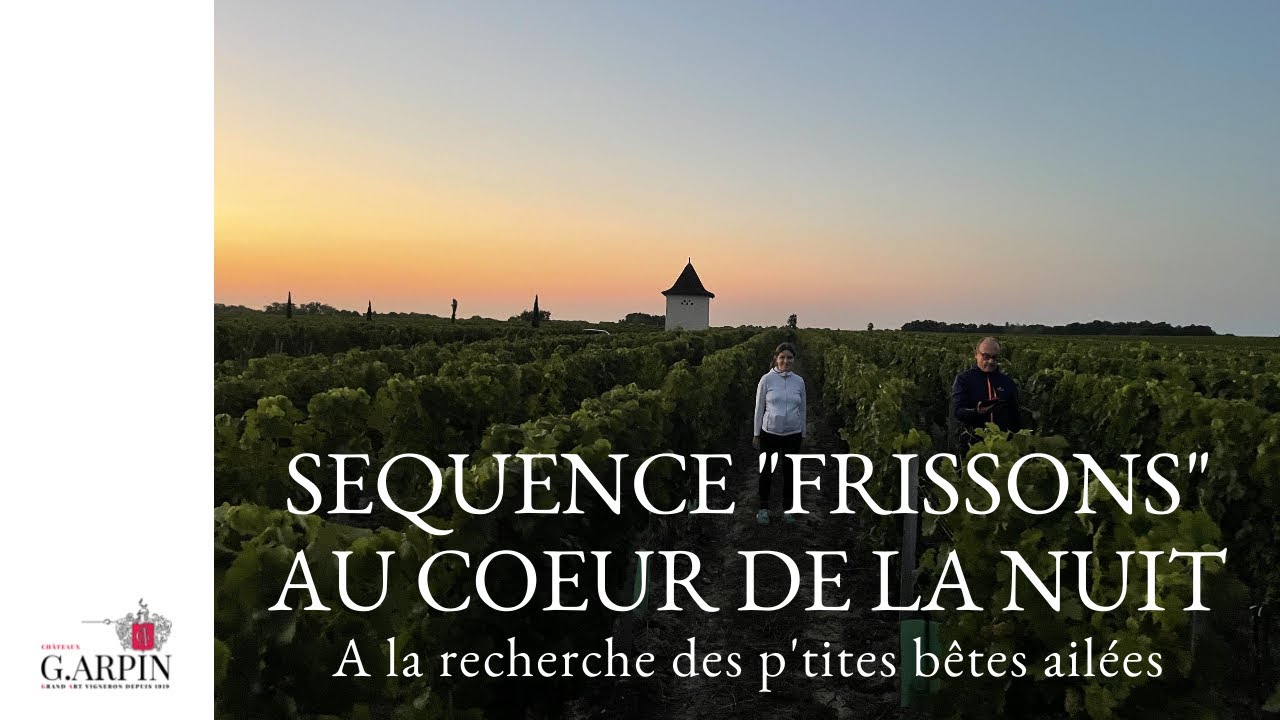 Poursuite nocturne ! ... S&eacute;quence 