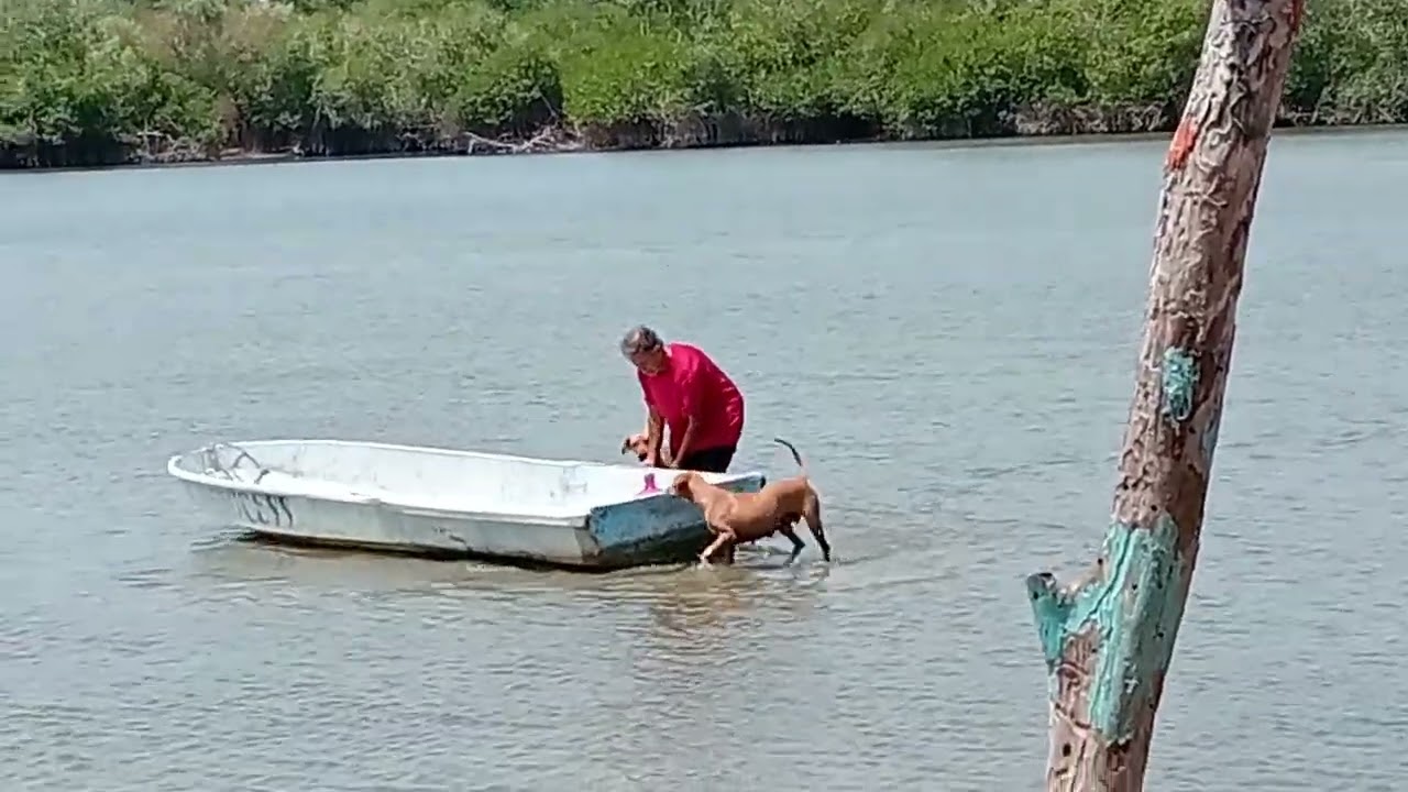 Nos fuimos a la laguna de barra de potosí 🏊 y a la playa que están casi juntas #ixtapazihuatanejo
