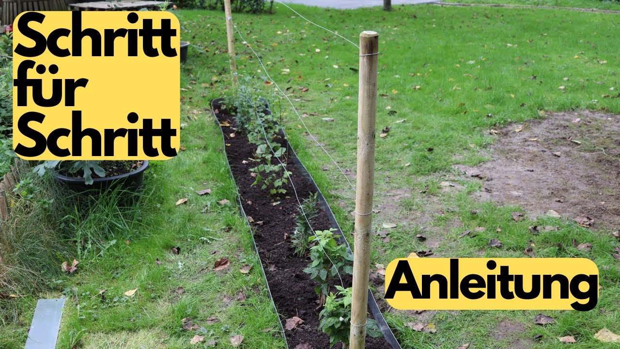 So lege ich meine Beerenhecke an| Pflanzung im Herbst