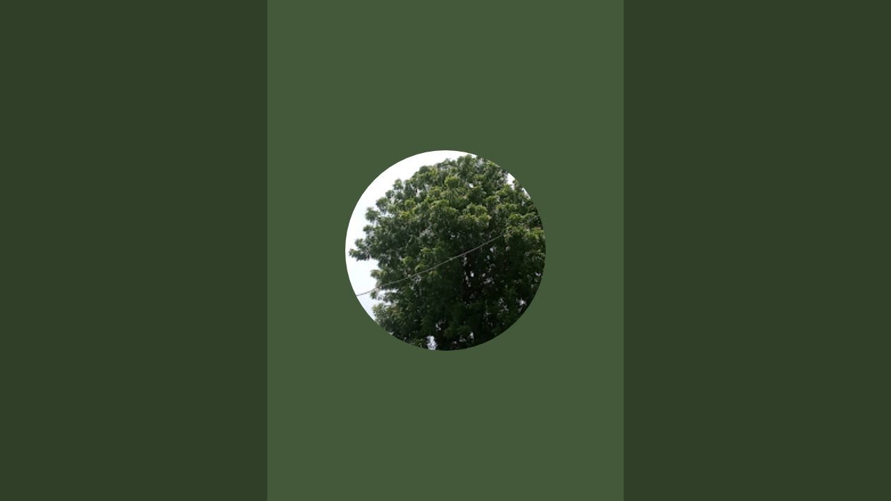 desi sharma लाइव है!