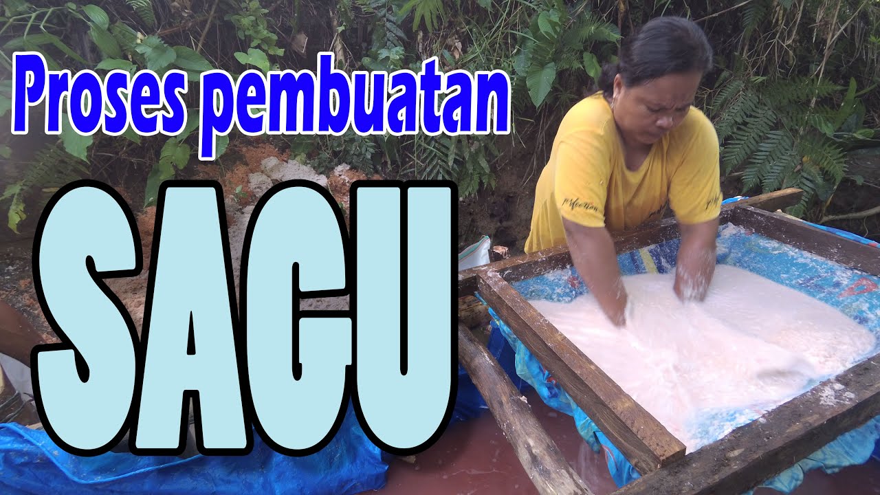 Proses pembuatan sagu