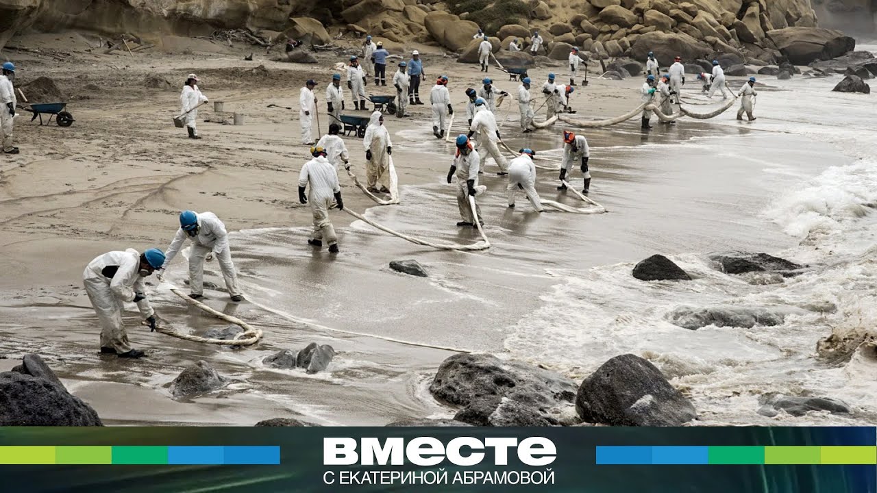 Последствия разлива мазута в Черном море: крупнейшая эко-катастрофа в новейшей истории России