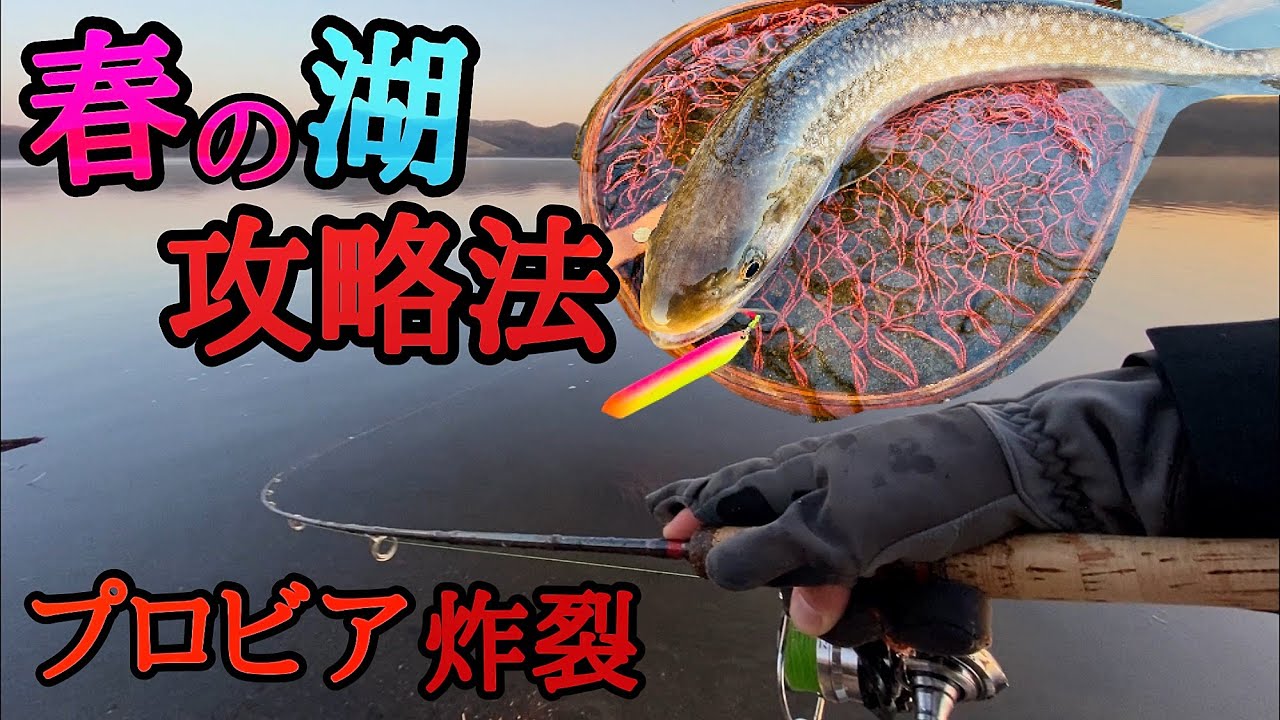 【大型アメマス出現】春の湖攻略法!!【北海道 道東 塘路湖】