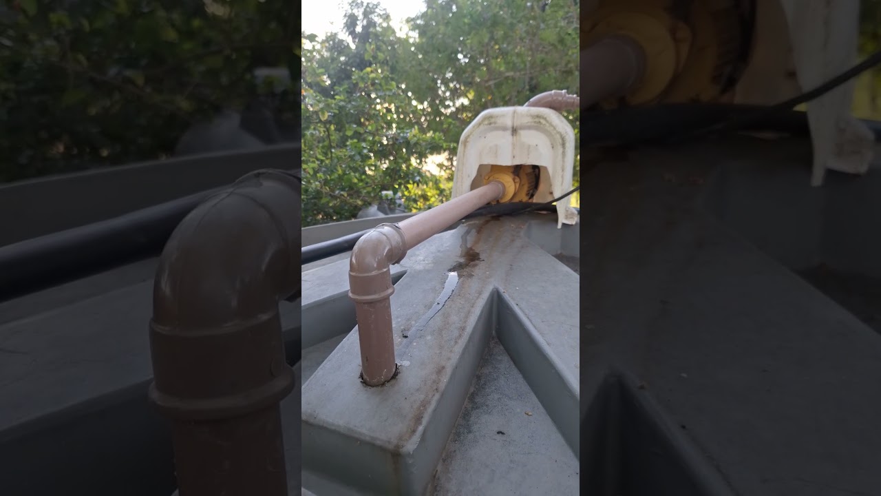 Improvisando irriga&ccedil;&atilde;o no BRS Capia&ccedil;u.#vidanaro&ccedil;a #rotina #fazenda #irriga&ccedil;&atilde;o #capia&ccedil;u #dyi