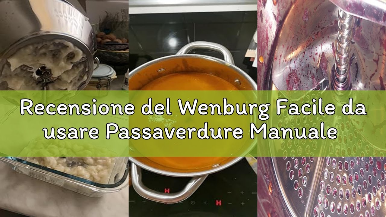 Recensione del Wenburg Facile da usare Passaverdure Manuale Acciaio Inox - Versatile Passatutto Acci