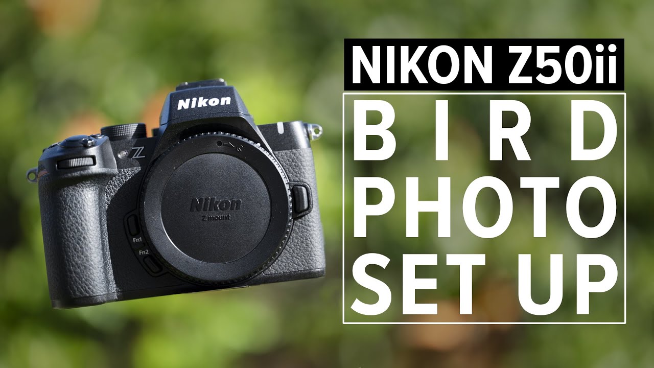 Фотосъемка птиц на Nikon Z50ii | Руководство по настройке меню и настройкам камеры