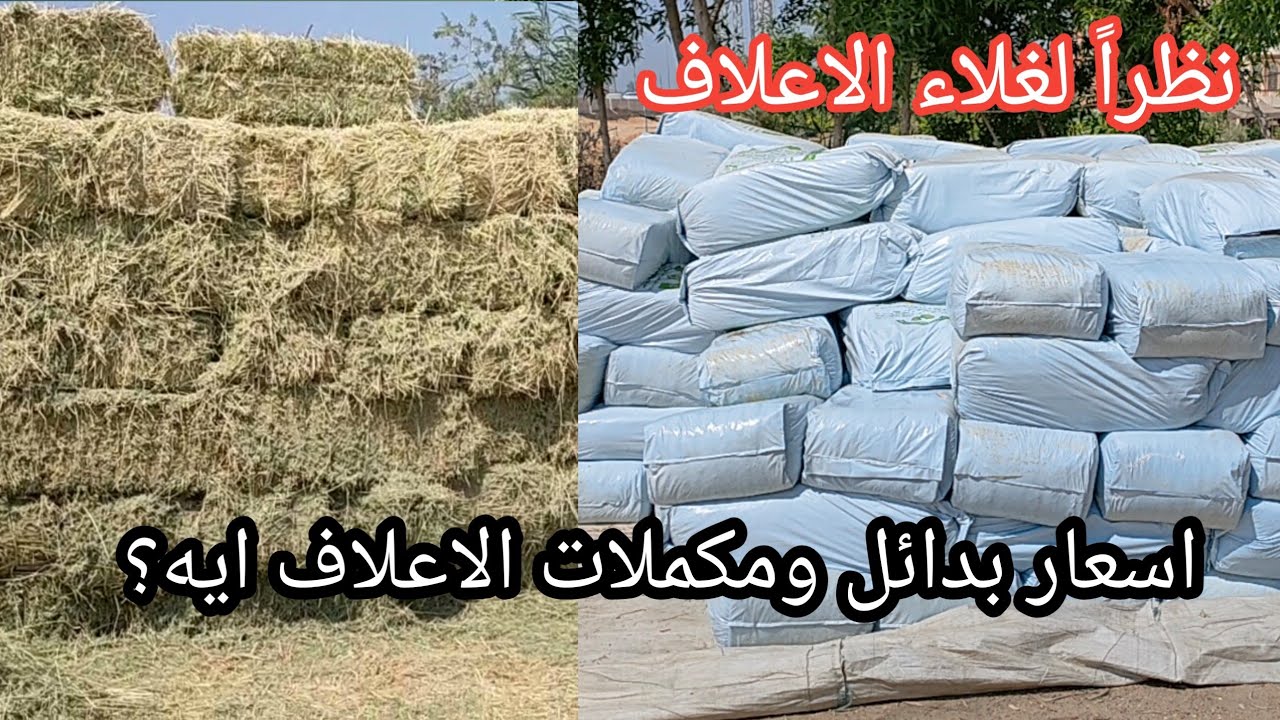 نظرا لغلاء الاعلاف جبتلك اسعار المكملات سيلاج وتبن حجازي ودريس حجازي والقش من أحدي اكبر التشوينات