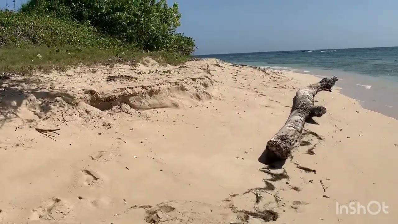 Full Walkabout at Amiga Island, Near Labadee, Haiti