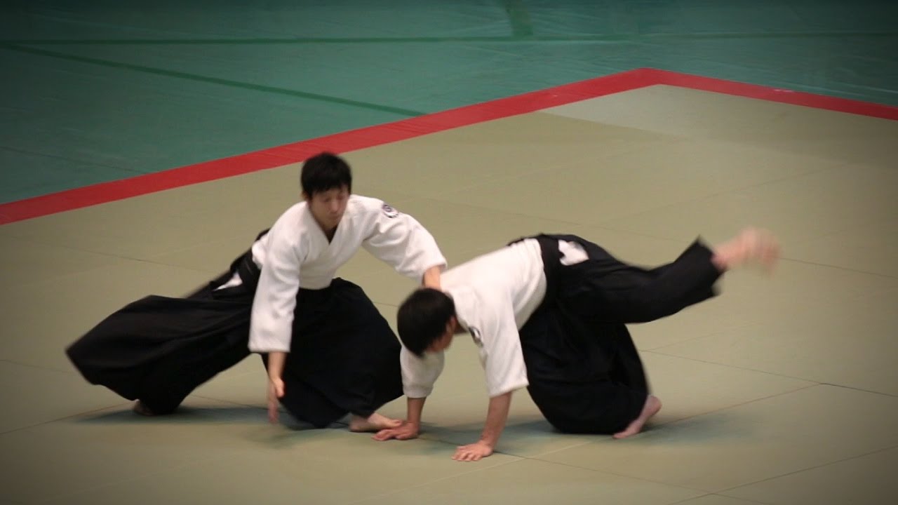 Aikikai Aikido - Shirakawa Ryuji - 54th All Japan Aikido Demonstration (2016)