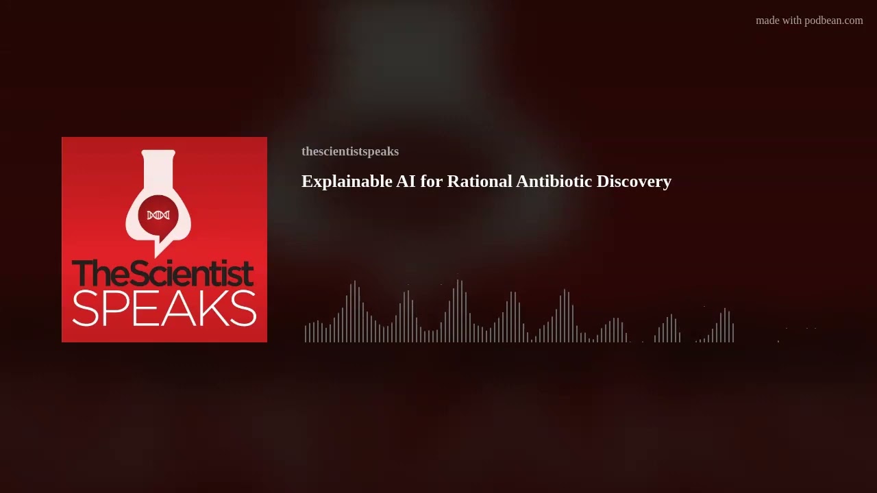 Explainable AI for Rational Antibiotic Discovery