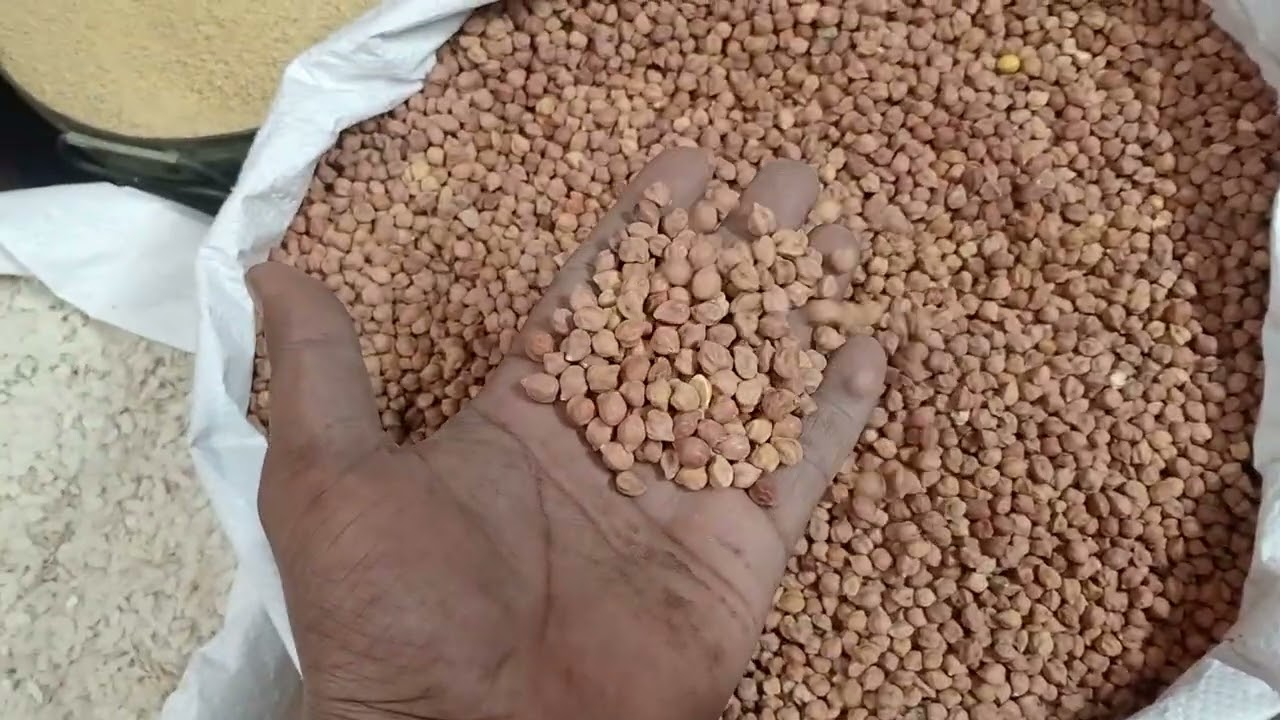 আজকের খুচরা বাজারে চমক...