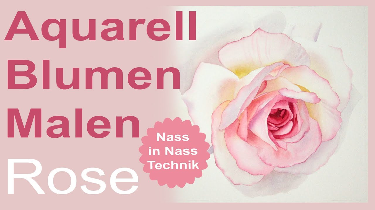 Aquarell Blumen Malen, weiße Rose mit mehrfarbigen nass in nass Verläufen mit Aquarellfarben malen