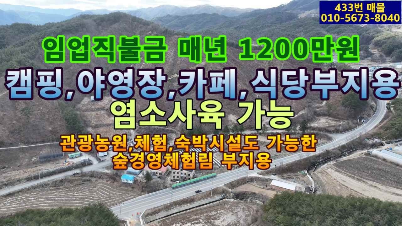 ( 433번 매물 )해발 500m.연간 임업직불금 1,200만원 수령,국도 26번도로 접,등기된 주택과 창고 있음,야영장,캠핑장,관광농원 등 가능,숲경영체험림 가능,평당1만5천원