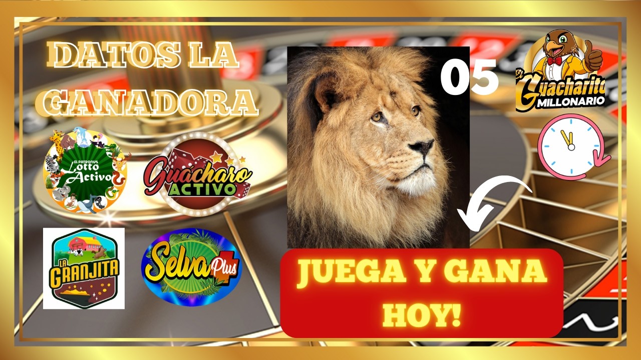 Tus Datos Gratis para hoy S&aacute;bado 28/02/2026 Lotto activo Granjita  Selva  Gu&aacute;charo   LA GANADORA