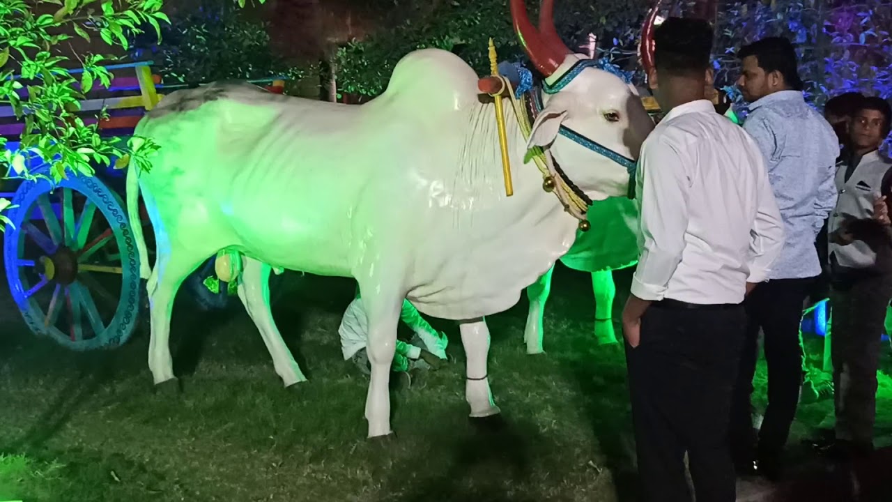 chaya resort manghar panvel