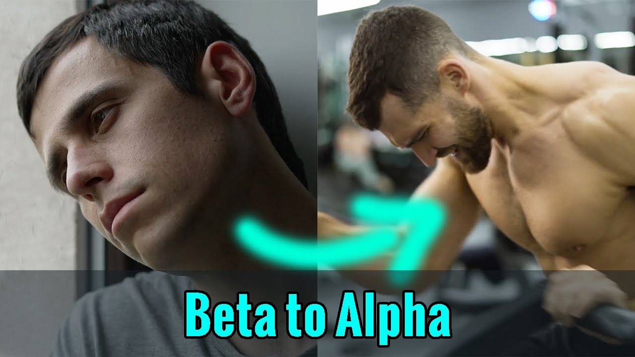 The #1 Reason You're NOT an Alpha Male