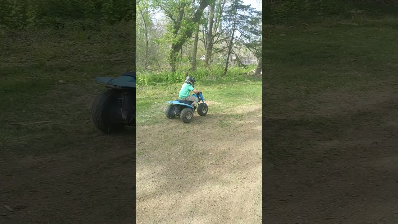 TriZinger Wheelie