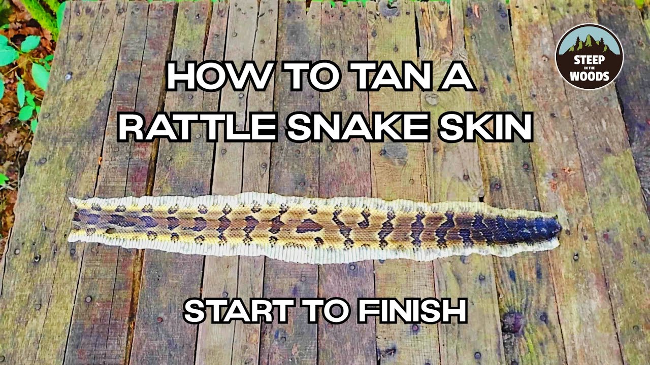 How to Preserve & Tan a Timber Rattlesnake Skin