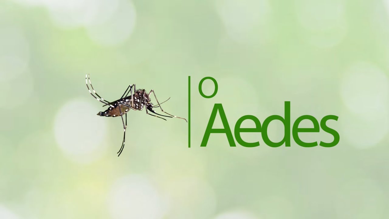 Dengue, Zika e Chikungunya: As doen&ccedil;as do Aedes